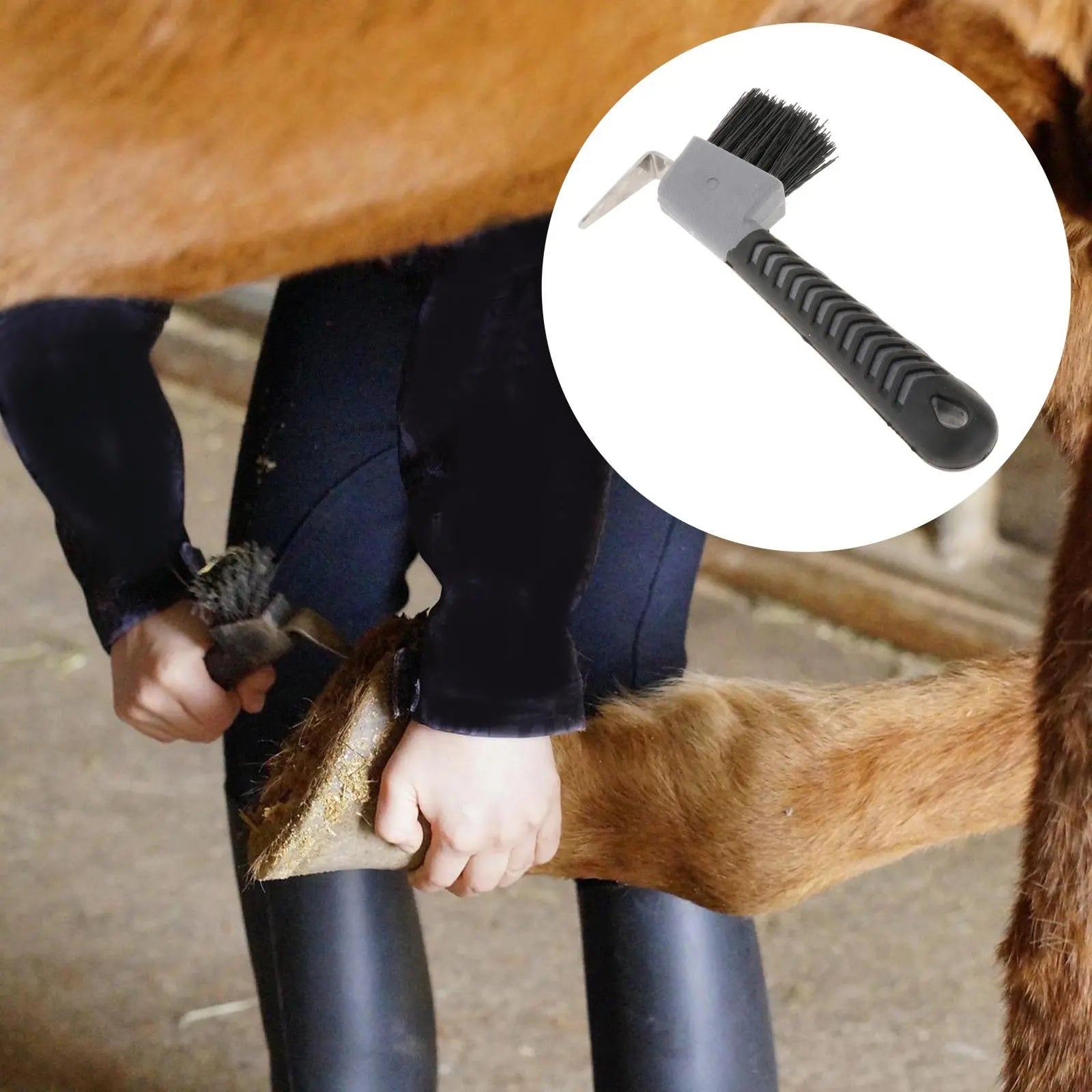 Lot De 2 Bottes De Soutien Au Brossage MD - Pour Cheval, Noir, Neuves