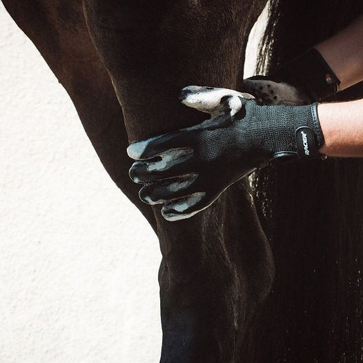 EquiCaress : Gants de pansage professionnel pour lavage et massage de cheval