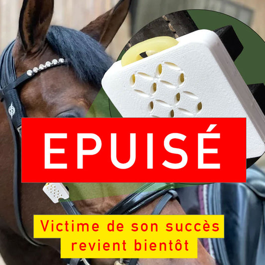 Le 1er bijou repousse moustique Naturel Français pour chevaux et cavaliers