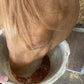 Form’EKIN Compliment alimentaire pour améliorer l’état général des chevaux